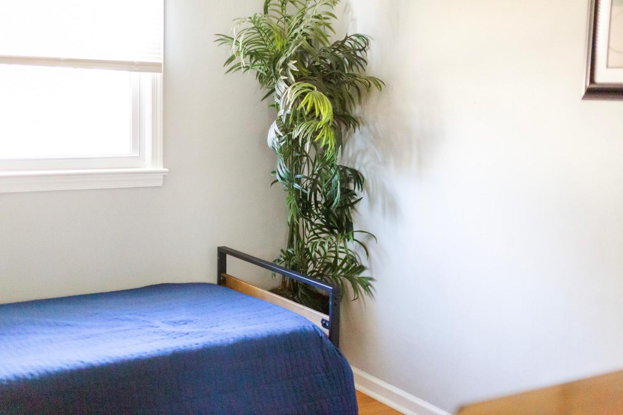 Fantastic 3Br Close To Botanical Gardens And Airport Норфолк Экстерьер фото