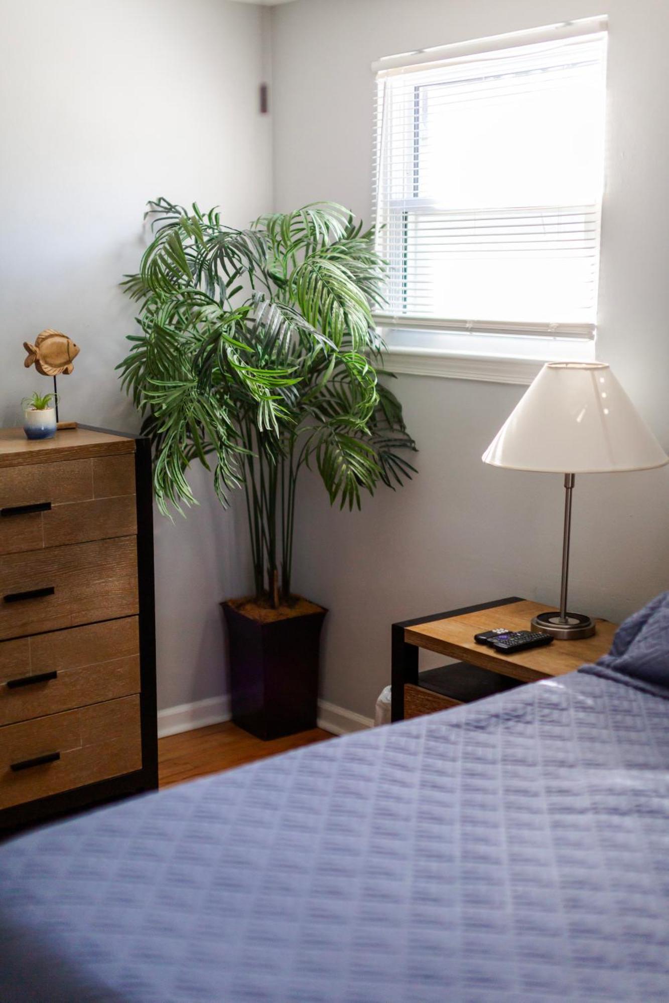 Fantastic 3Br Close To Botanical Gardens And Airport Норфолк Экстерьер фото